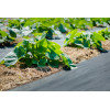Agrowłóknina ściółkująca P50g/m2 9.60x10 Czarna