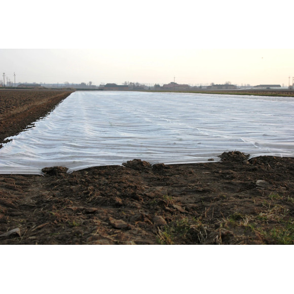 Agrowłóknina zimowa 6.35 x 50 100g/m2