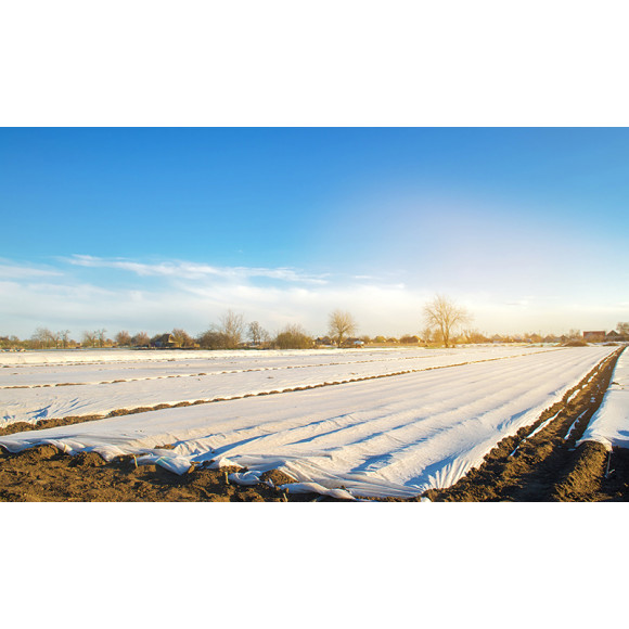 Agrowłóknina zimowa 6.35 x 50 100g/m2