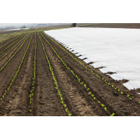 Agrowłóknina okrywowa 4.80 x 10 30g/m2