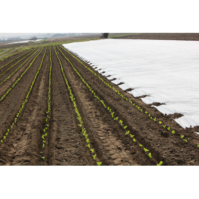 Agrowłóknina okrywowa 3.20 x 100 30g/m2