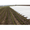 Agrowłóknina okrywowa 9.60 x 100 30g/m2