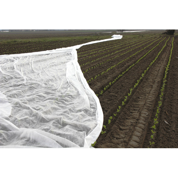 Agrowłóknina okrywowa 10.50 x 100 23g/m2