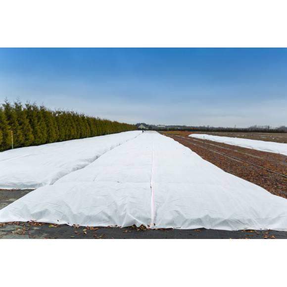 Agrowłóknina zimowa 1.60 x 100 100g/m2