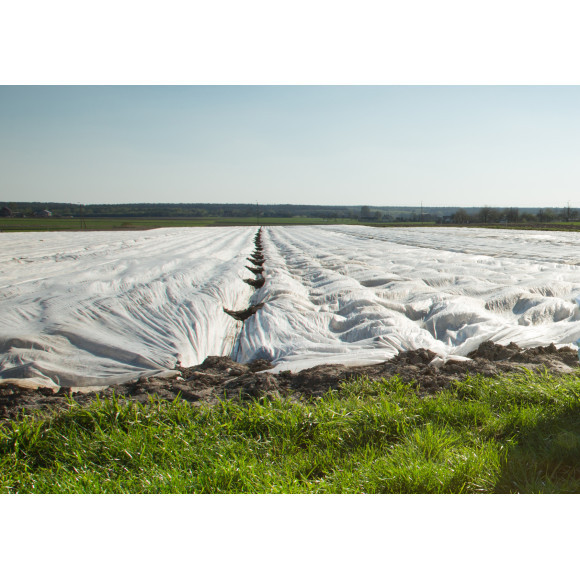 Agrowłóknina okrywowa 4.80 x 100 50g/m2