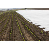 Agrowłóknina okrywowa 4.20 x 100 30g/m2