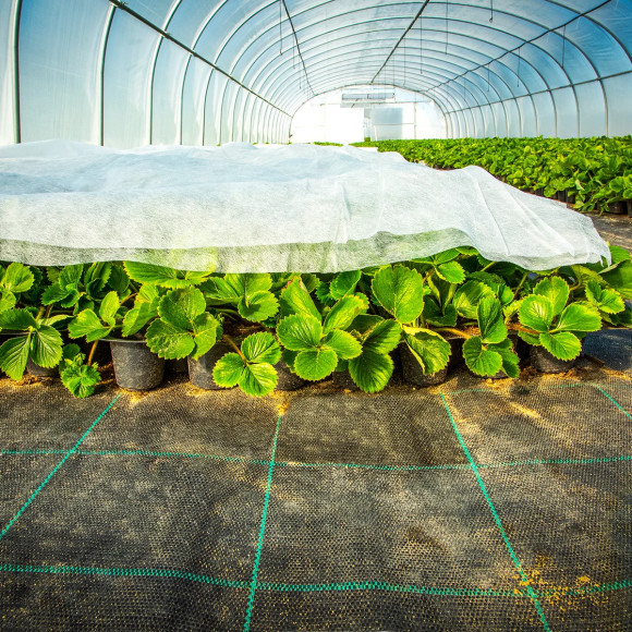 Agrowłóknina okrywowa 10.50 x 100 23g/m2