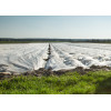 Agrowłóknina okrywowa 10.50 x 100 23g/m2