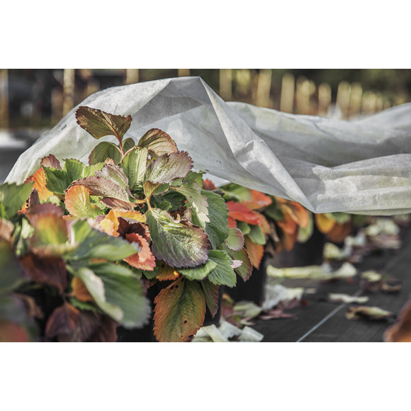 Agrowłóknina okrywowa 6.35 x 100 30g/m2