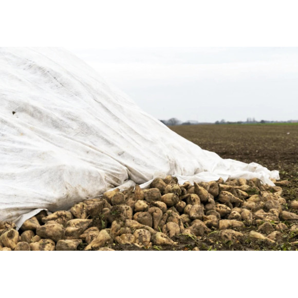 Agrowłóknina na pryzmy buraczane 12.65 x 25 110g/m2