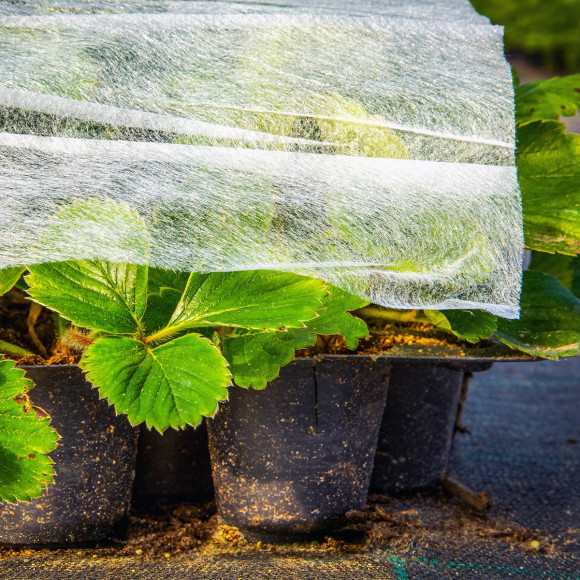 Agrowłóknina okrywowa 3.20 x 100 23g/m2