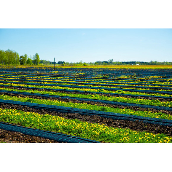 Agrotkanina ściółkująca P90g Czarna 1.10x100