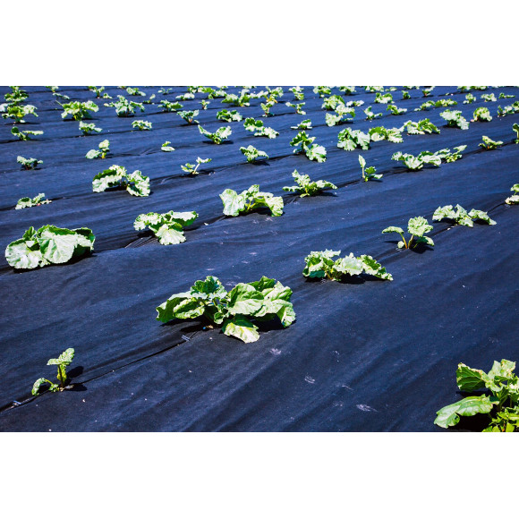 Agrowłóknina ściółkująca P150g/m2 9.60x25 Czarna