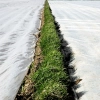 Agrowłóknina okrywowa 10.50 x 100 23g/m2
