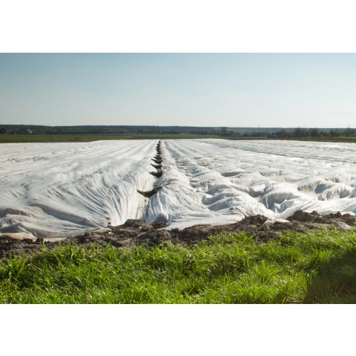 Agrowłóknina okrywowa 10.50 x 100 23g/m2